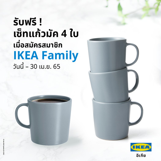 สมัคร IKEA Family รับแก้วมัค 4 ใบ ฟรี